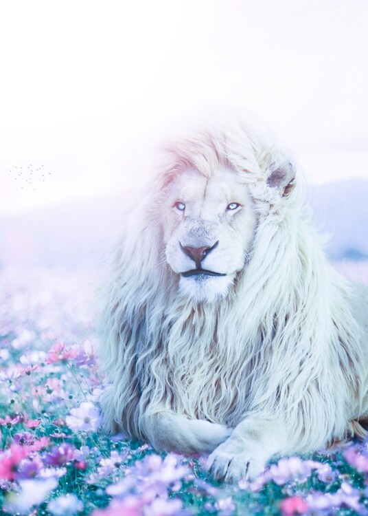 Poster Kimba the white lion in flowers