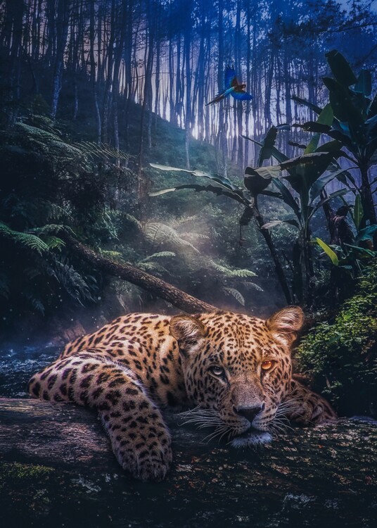 Poster Jungle Leopard and Sparrow