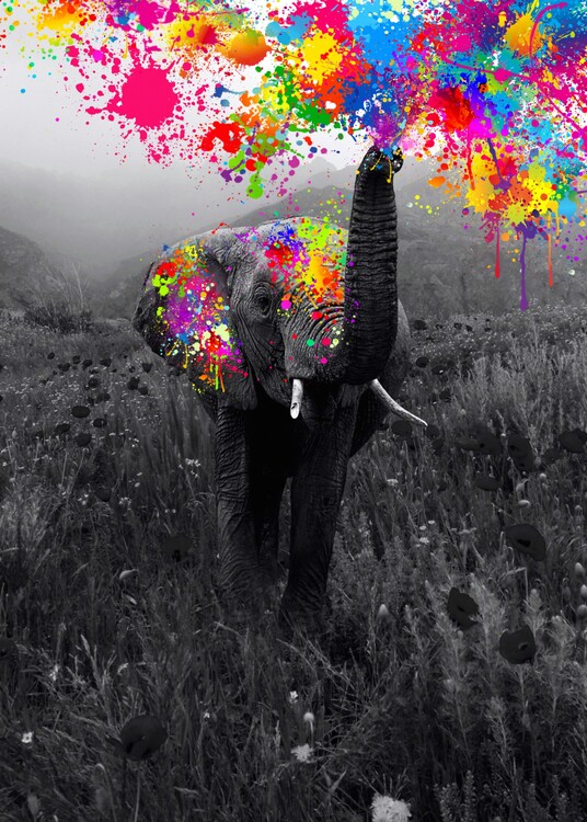 Poster Elephant playing with paint