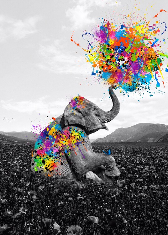 Poster Elephant playing with paint colors