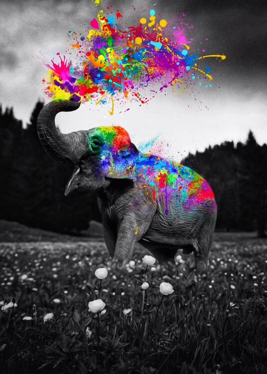 Poster Elephant Color Splash paint
