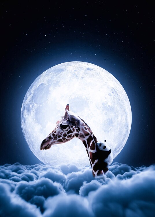 Poster Giraffe and cute baby panda in clouds