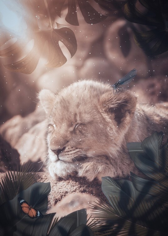 Poster Baby lion sleeping in the jungle