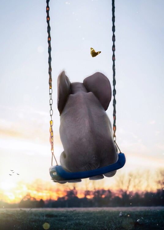 Poster Baby Elephant Swing and Butterfly