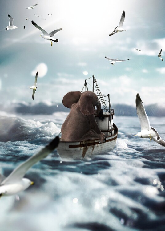 Poster Baby Elephant on a fishing boat