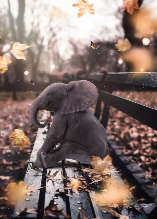 Poster Baby Elephant on a bench in autumn