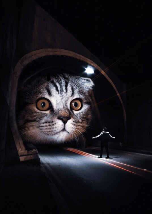Poster Giant cat Play in Tunnels