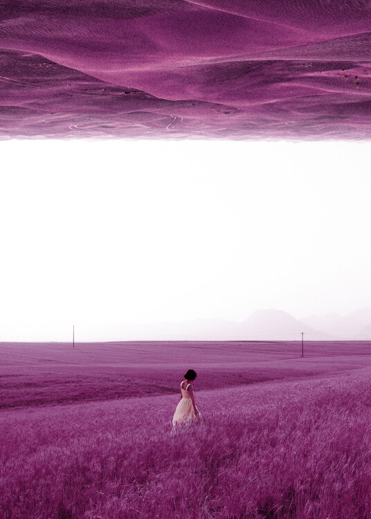 Poster Purple Fields