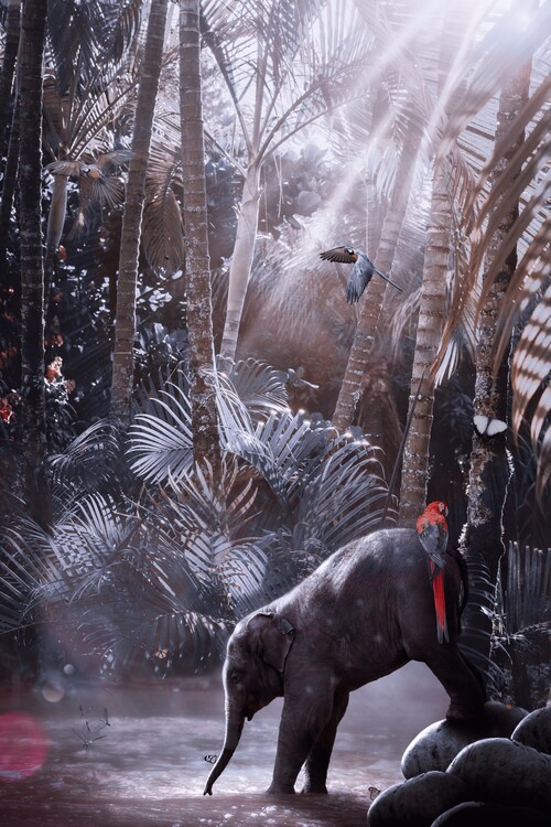 Poster Baby Elephant in river jungle and parrots