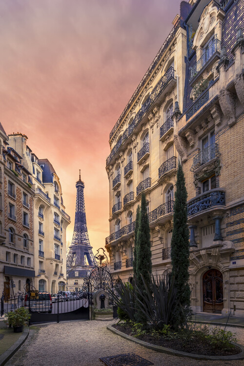 Poster Pink Paris