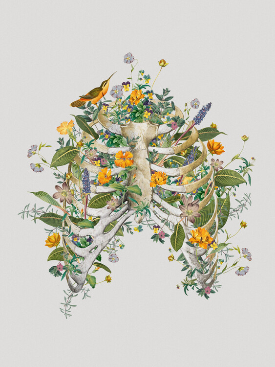 Poster Floral Thorax