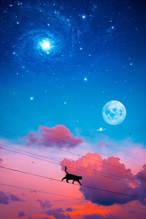 Poster Cat silhouette in the cloudy sky