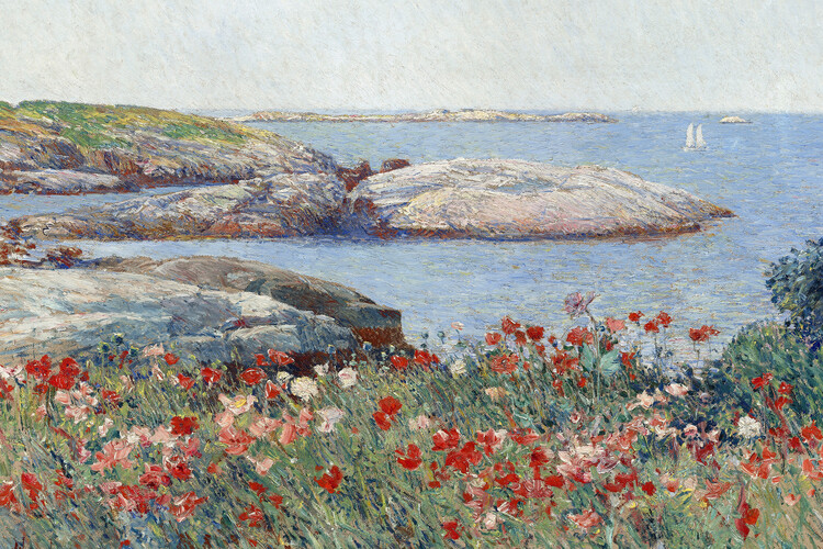 Canvas Print Poppies on the Isles of Shoals