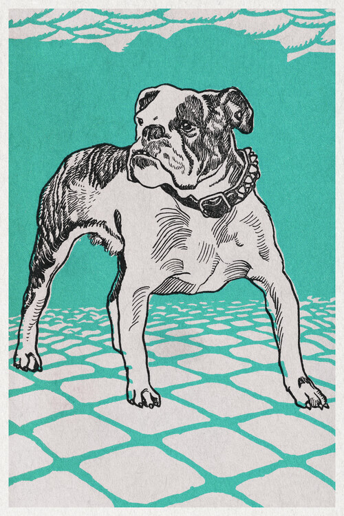 Juliste Bulldog (Portraits of Puppies & Dogs) - Moriz Jung
