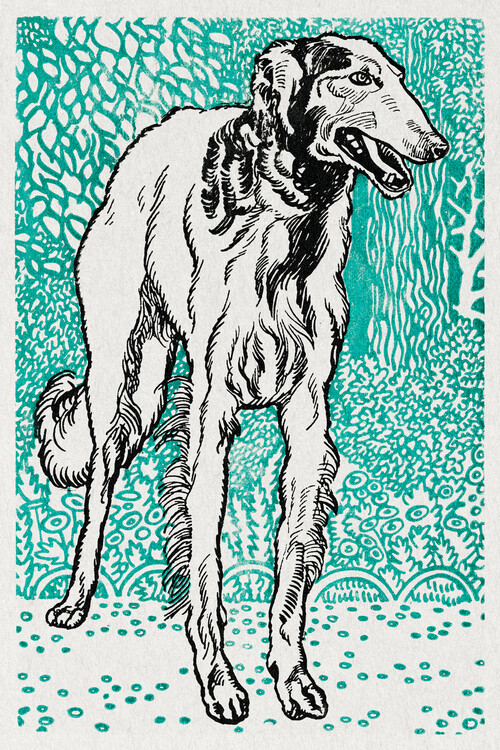 Poster Long Hair Greyhound (Portraits of Puppies & Dogs) - Moriz Jung