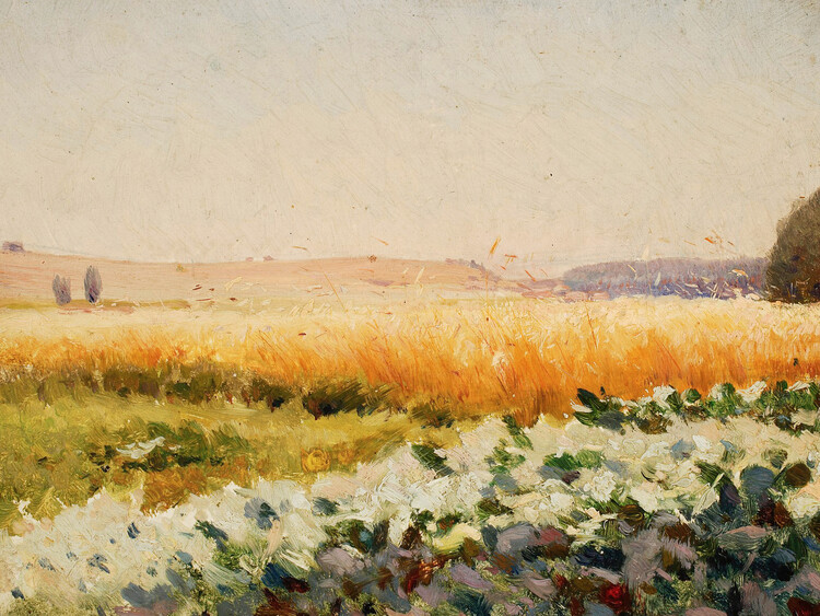 Canvas Print Field of Cabbage (Vintage Landscape) - Jan Stanislawski
