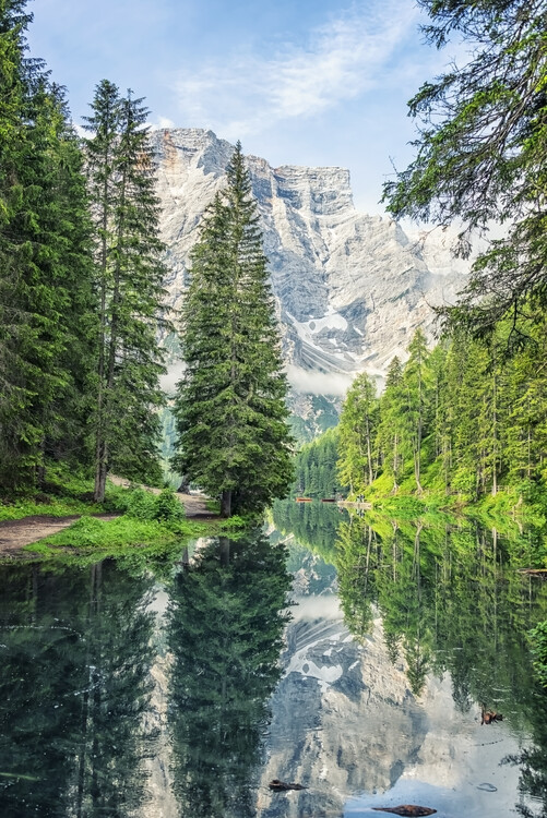 Poster Lake Reflection
