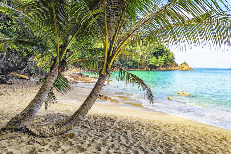 Billede på lærred Banana Beach