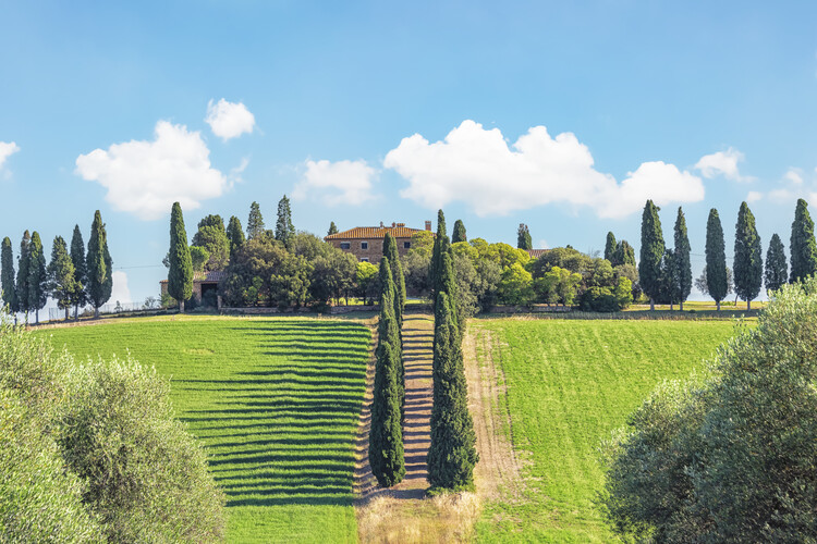 Poster Tuscany Countryside