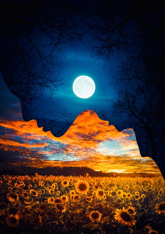 Plakát Night Moon and Day Sun Duality