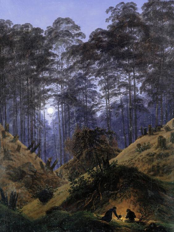 Canvas Print The Forest under Moonlight