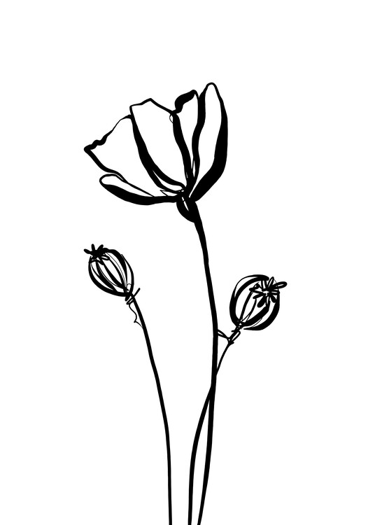 Poster Poppy I