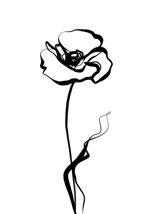 Poster Poppy II