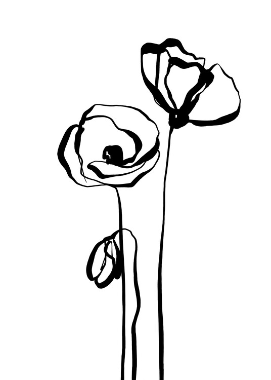 Poster Poppy III