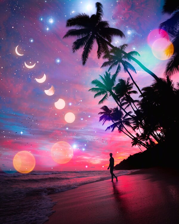 Plakát Silhouette tree and moon phases on the beach