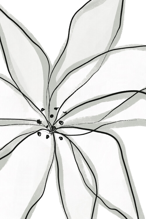 Levně Plakát, Obraz - Fragile Flower, uplusmestudio, 26.7 × 40 cm