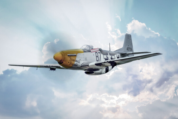 Canvas Print North American P-51 Mustang