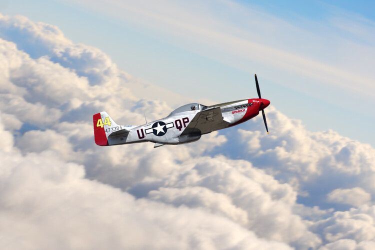 Poster North American P-51 Mustang