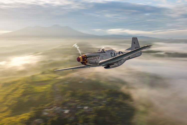 Poster North American P-51 Mustang