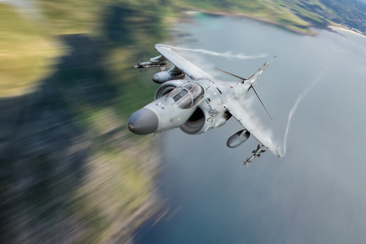 Poster Royal Navy Sea Harrier