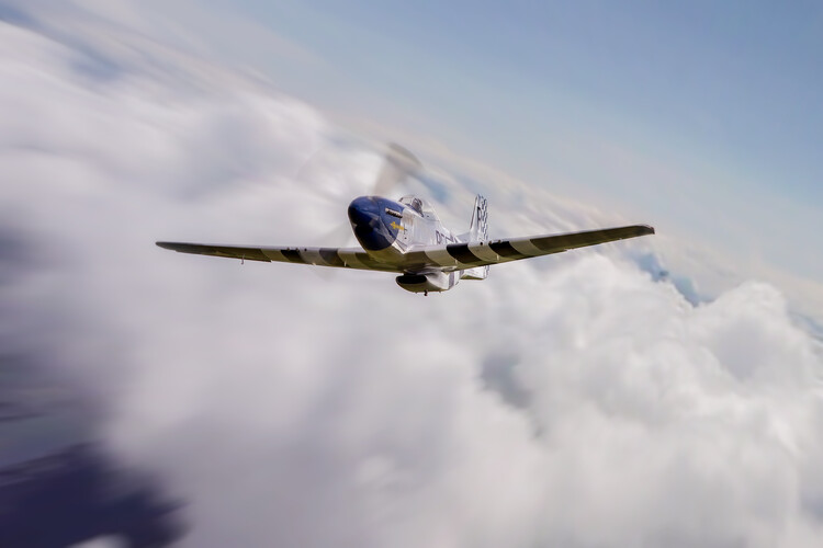 Poster North American P-51 Mustang