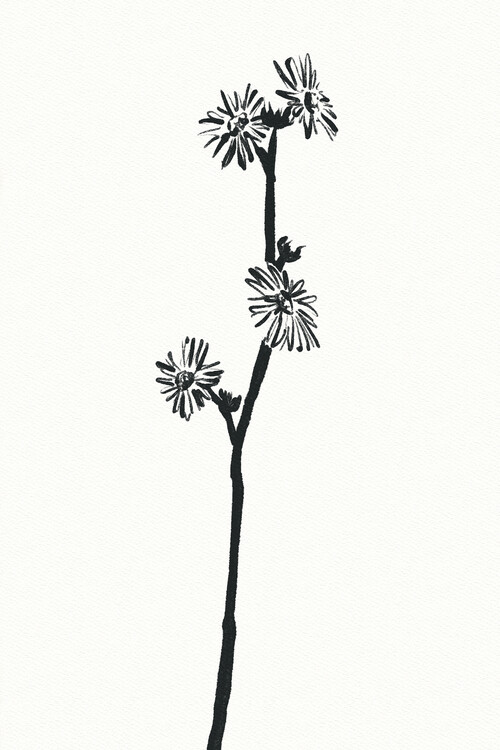 Poster Flower