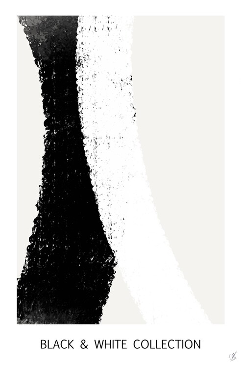 Poster Black & white abstract #1