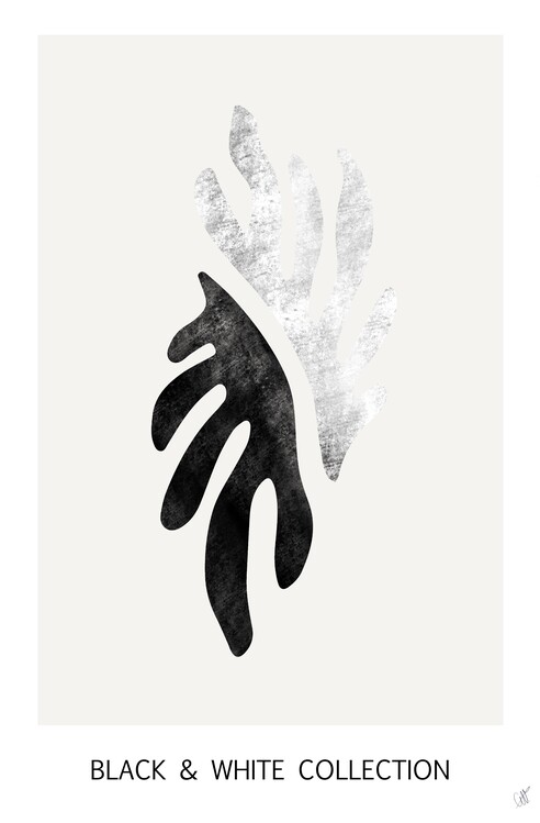 Poster Black & white abstract #2