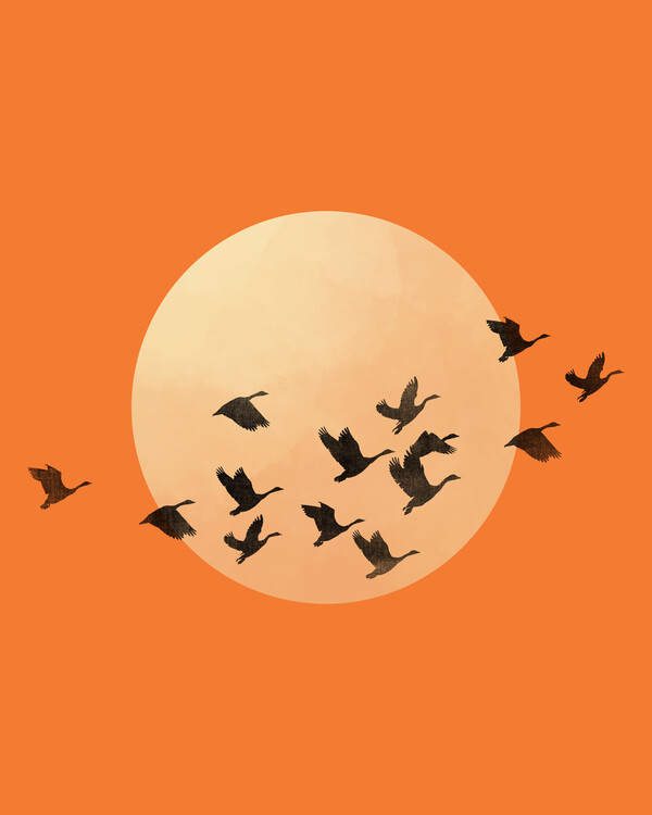 Poster Flying Cranes