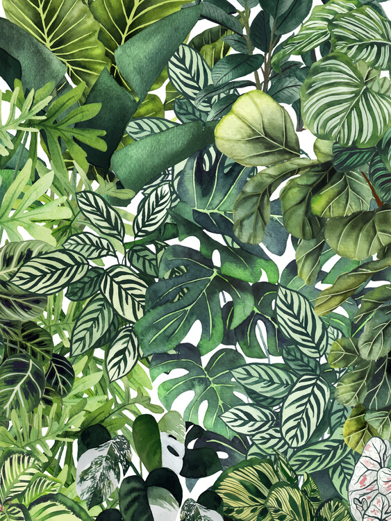 Poster Urban jungle
