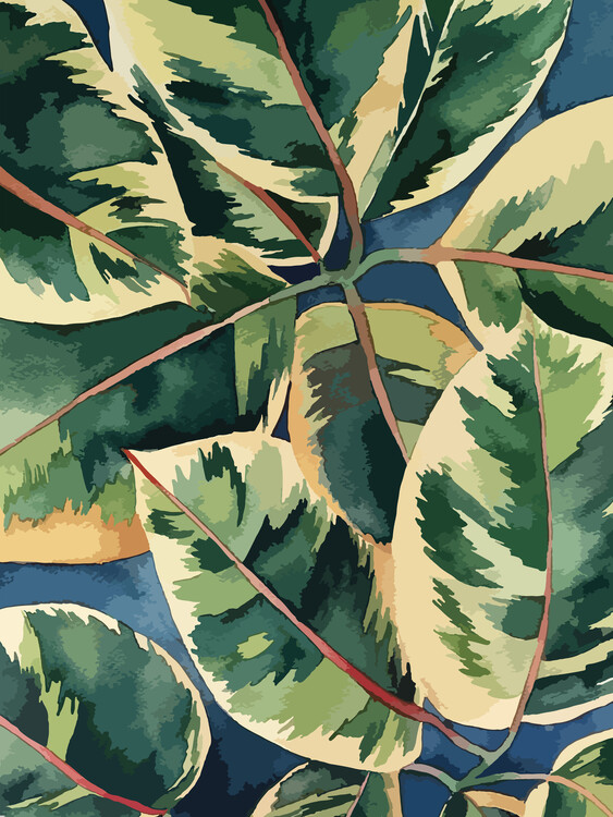 Плакат Ficus Elastica 2