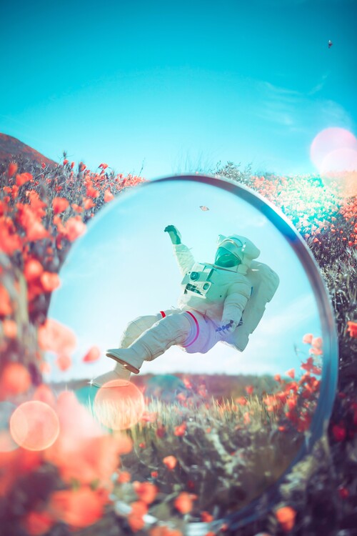 Plakát Astronaut reflection in the mirror and orange flowers
