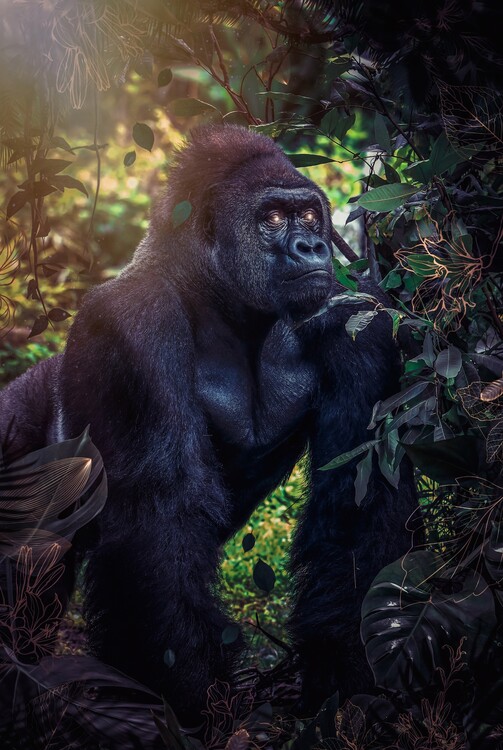 Plakát Silverback gorilla in the jungle with green and golden leaves