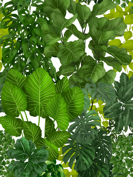 Plakat Urban Jungle 5