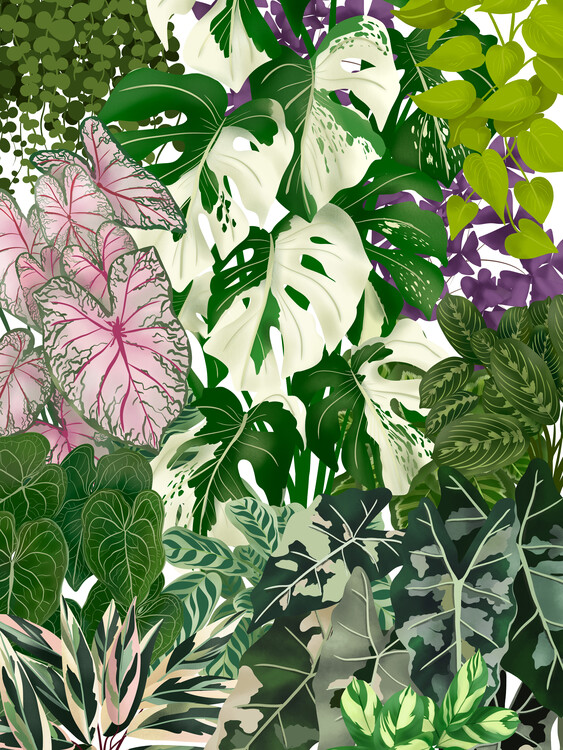 Plakat Urban Jungle 6