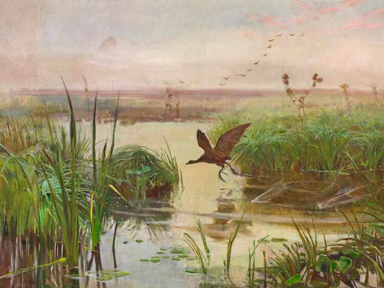 Poster Common Moorhen (Vintage Landscape with Birds / Pastel Fantasy) - Józef Chelmoński