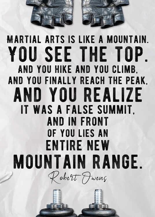 Plakát Martial Art-Boxing Inspirational Quote