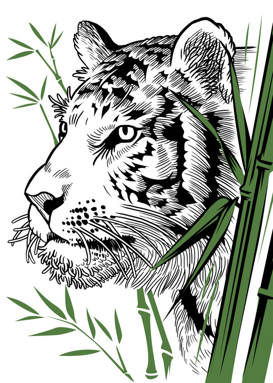 Плакат Tiger Bamboo