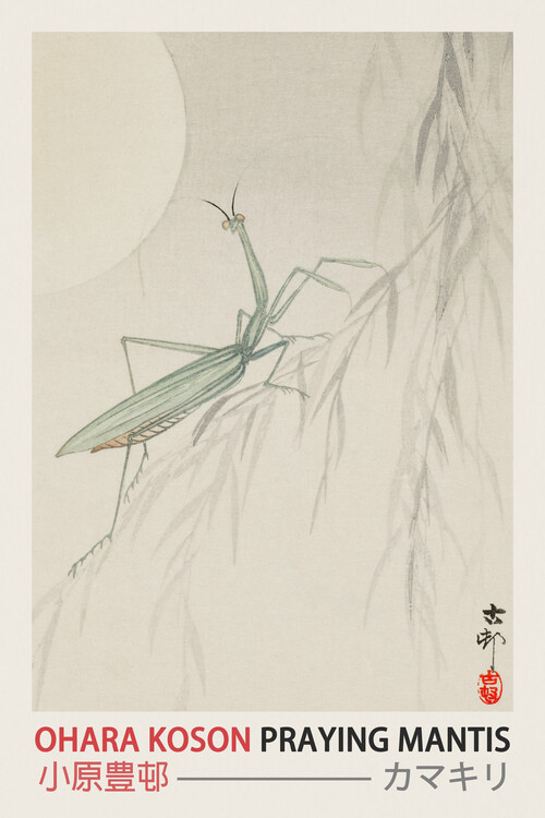 Canvas Print Praying Mantis (Japanese Woodblock Japandi print) - Ohara Koson