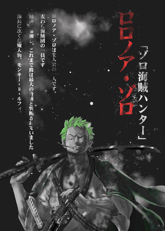 Obraz na plátně King of sword